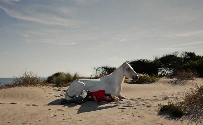 Film za stovku: Animale