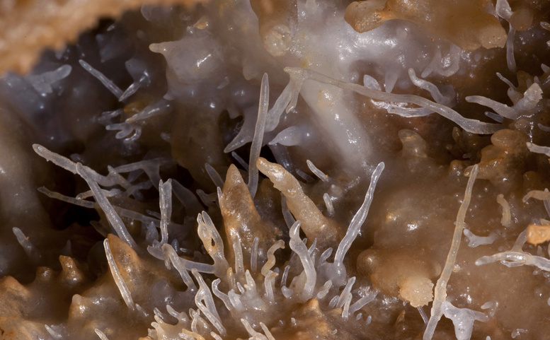 Tajemný svět jeskyní ČR