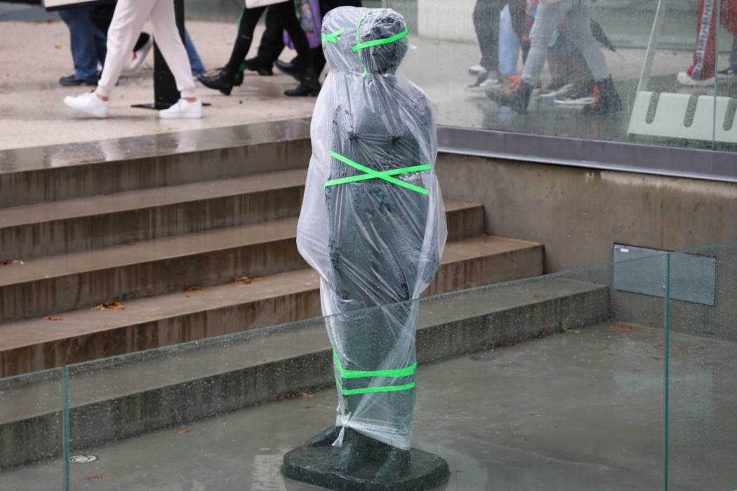 Slobodná národná galéria. Popis jedného zápasu