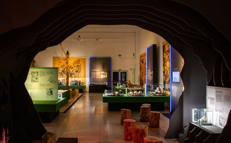 Pravěká dobrodružství Eduarda Štorcha