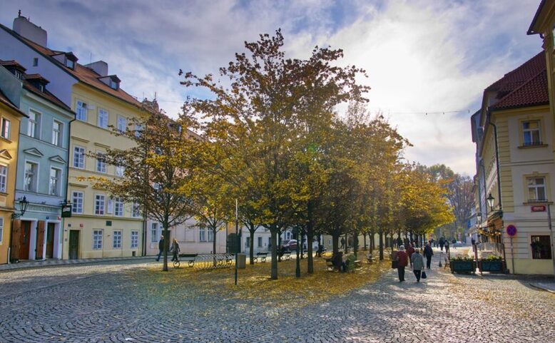 Procházka Kampou na Klárov - procházka