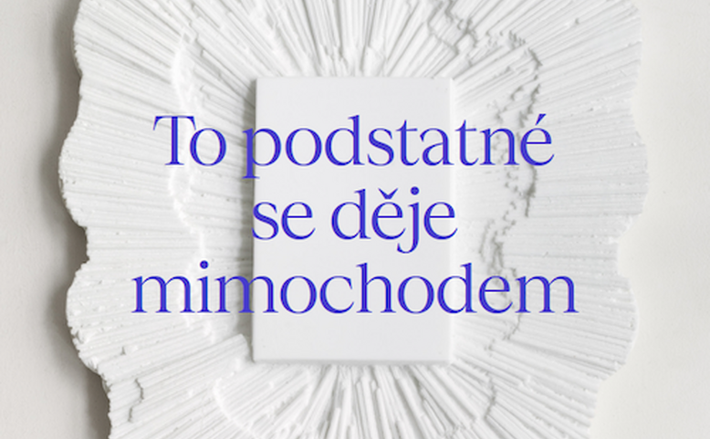To podstatné se děje mimochodem - sbírka Ronyho Plesla