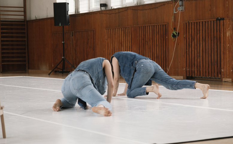 Eva Priečková, Zuzana Žabková: Crying Girls
