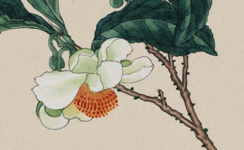 Očima kurátorů: Proměny expozice Umění Asie napříč prostorem a časem - japonské umění