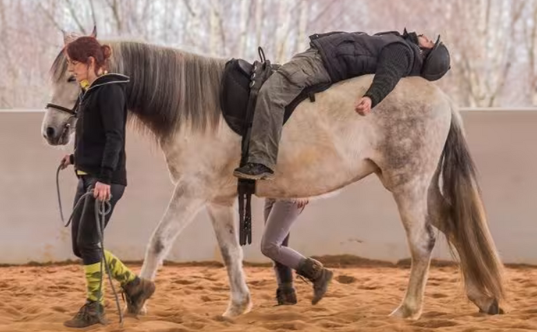 Hiporehabilitace v praxi aneb Jak kůň pomáhá