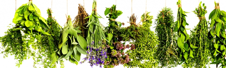 Duben: večerní kurz Bylinkaření, aneb jak léčily naše babičky