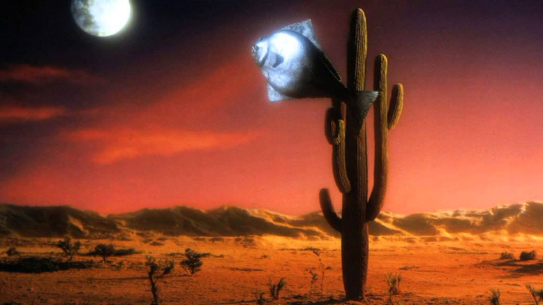 Retrokino: Arizona Dream (1993) na střeše Veletržáku NGP