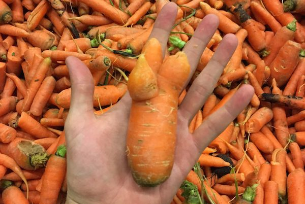 Křest kuchařky Zachraň jídlo v kuchyni