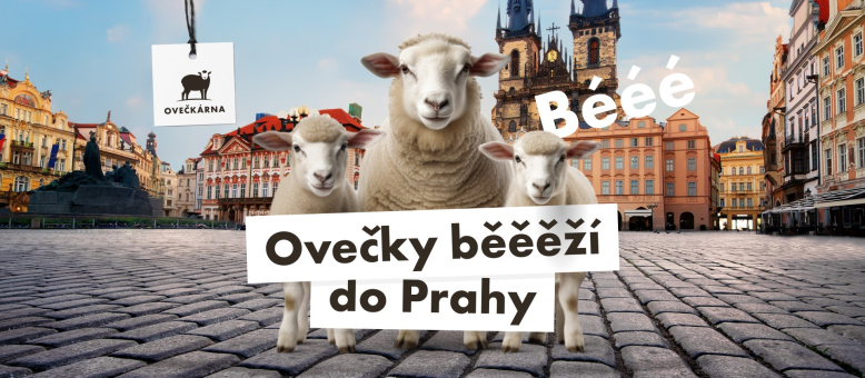 Otevíračka huňaté prodejny v Praze