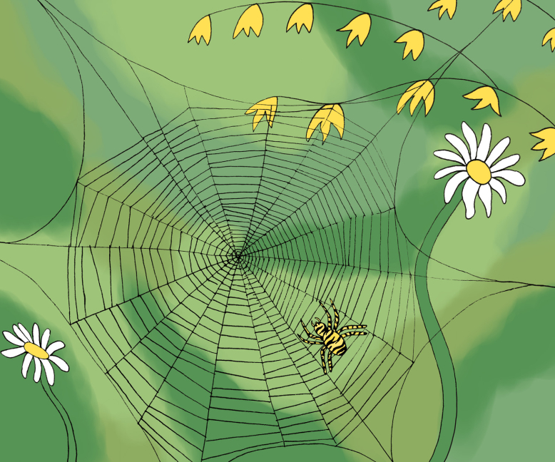 Čarodějnice v Zahradě aneb Pavoučí proplétaná