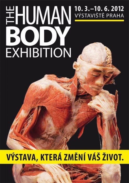Human Body Exhibition