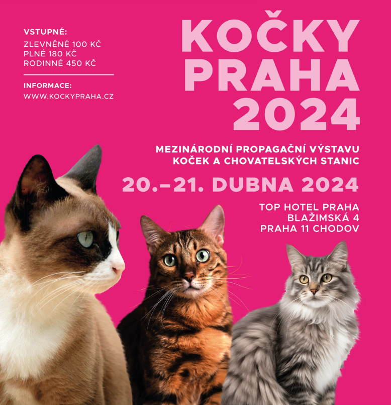 Kočky Praha 2024