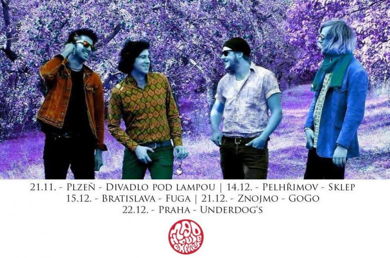 Madhouse Express + Purplefox Town