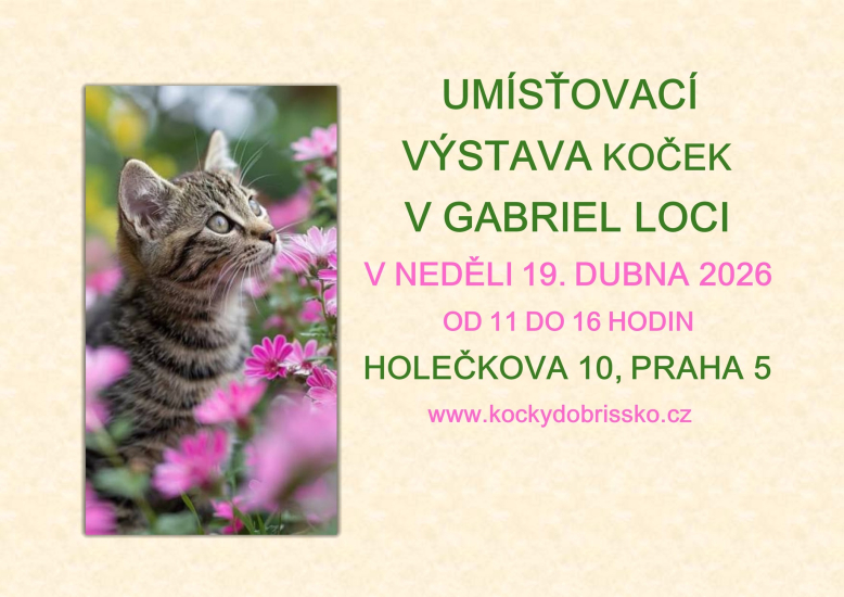 Umísťovací výstava koček