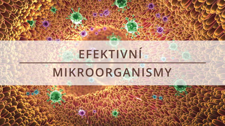 Efektivní mikroorganismy