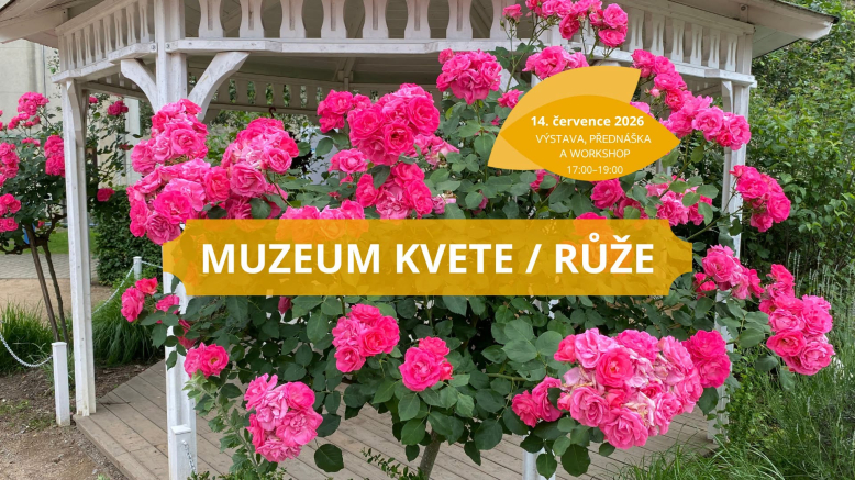 Muzeum kvete / Růže