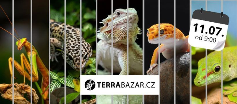 Terrabazar
