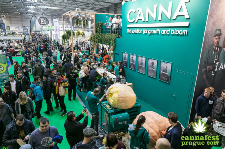 Cannafest