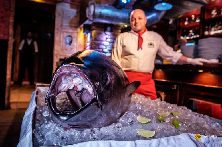 Bourání velkého tuňáka z Malediv