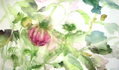 Kurzy malování - "Akvarel od A do Z"