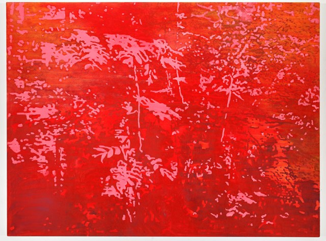 Kamila Ženatá / Neviditelnost