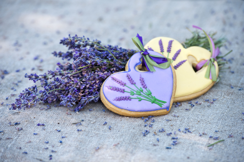 Zlatá sobota v Levandulovém údolí