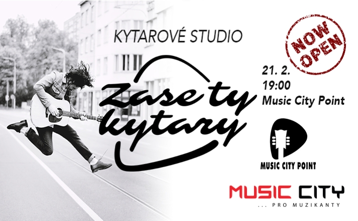 Zasetykytary v Music City