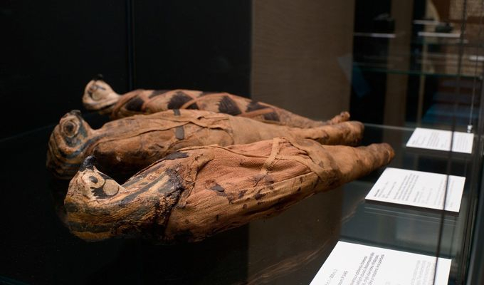 Zvířecí mumie ve starém Egyptě