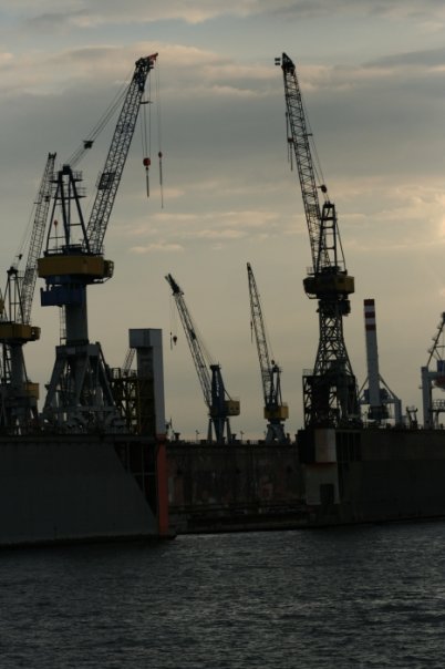 231024_7524185999_1831_n.jpeg - 