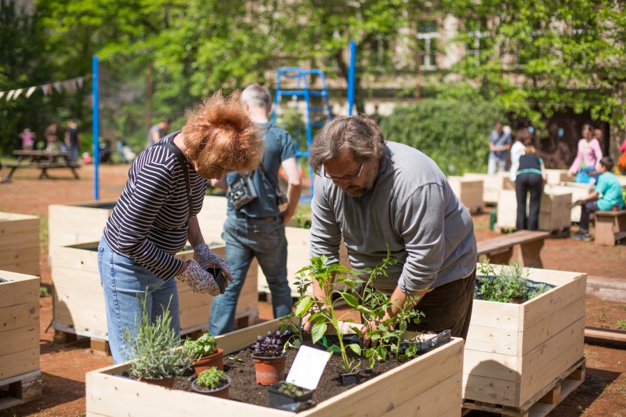 ZahradaSmetanka3.jpg - Komunitní zahrada Smetanka