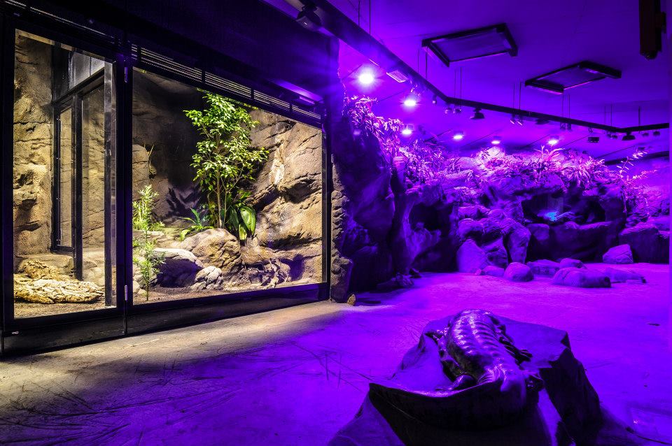 velemloci.jpg - Velemlokárium v pražské ZOO