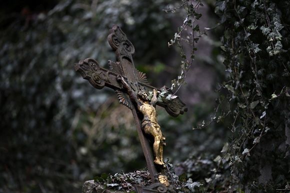 [hlavni%2871%29.jpg]