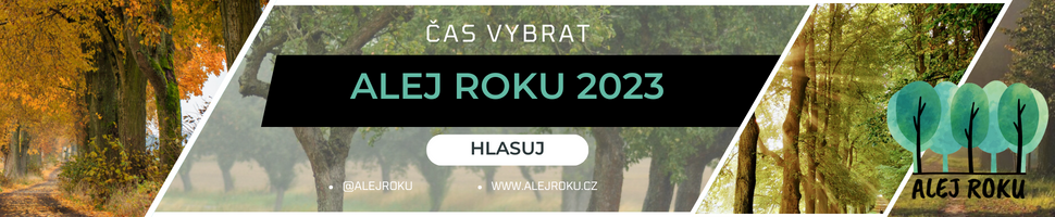 Alej roku 2023