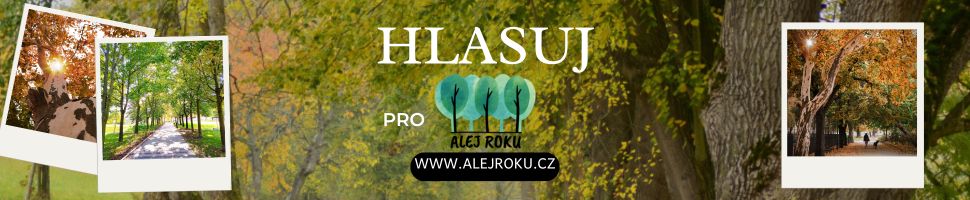 Hlasujte v anketě Alej roku 2024