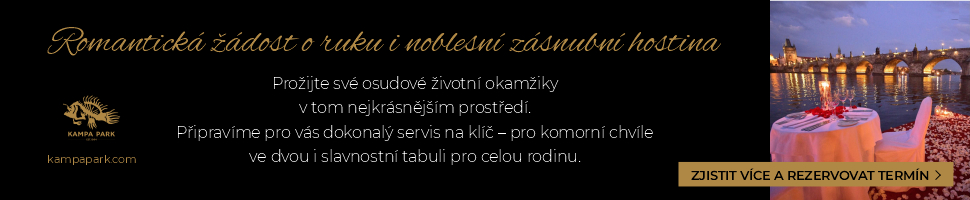 Romantická žádost o ruku v Kampa Parku