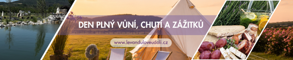 Léto v Levandulovém údolí